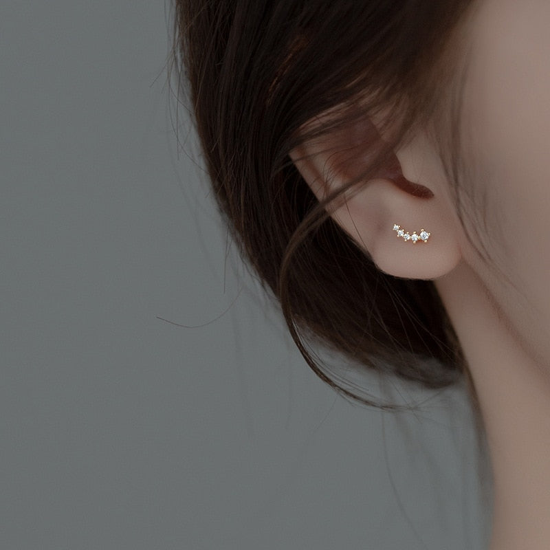 Chic Cute Arc Earrings