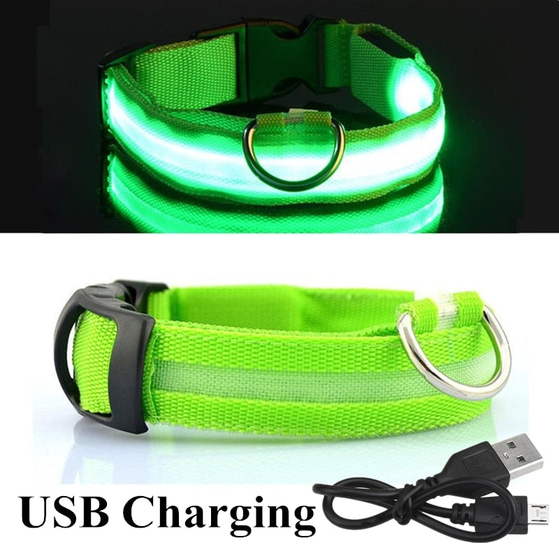 Adjustable LED Glowing Pet Collar